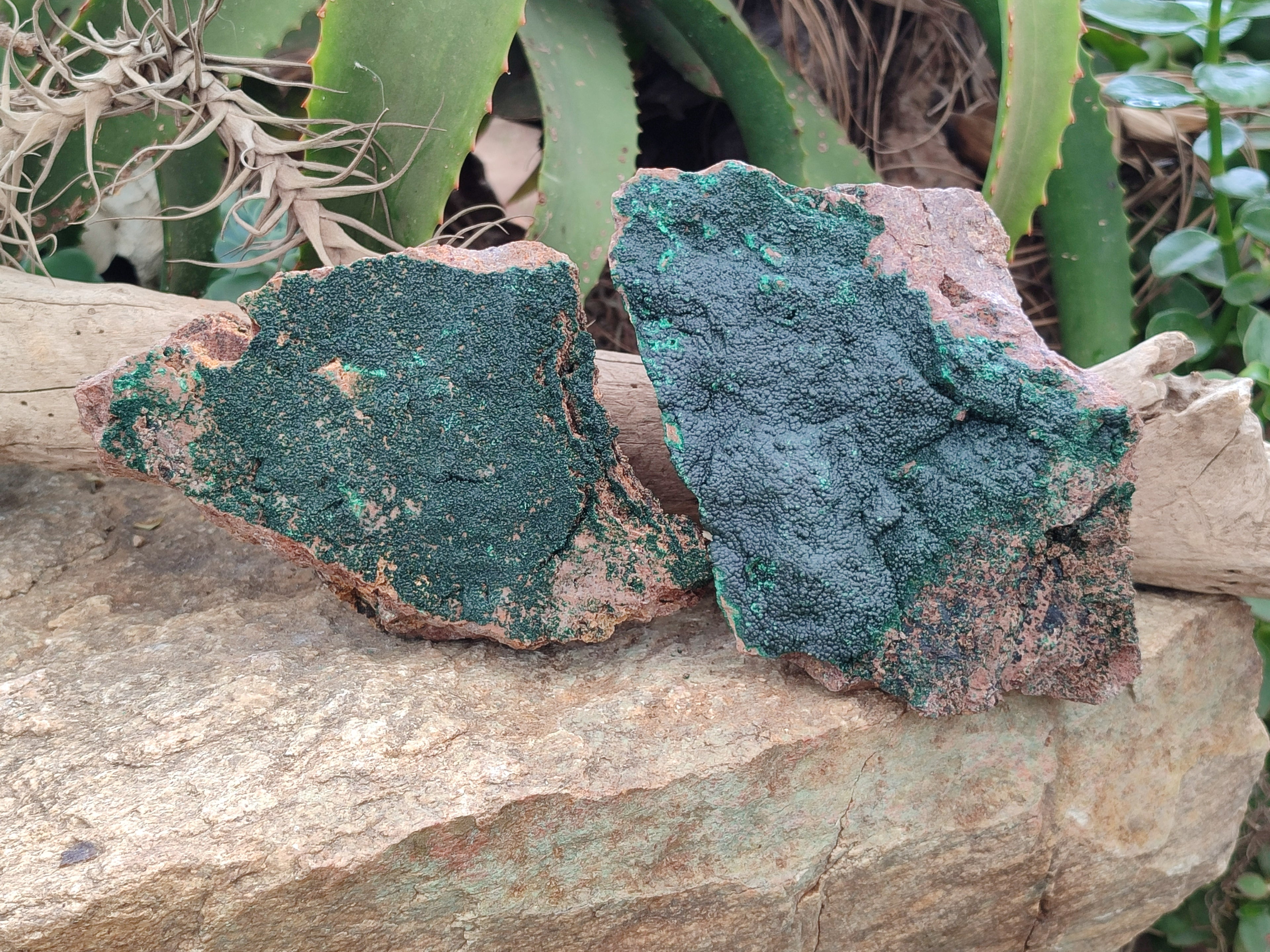 Natural Botryoidal Malachite Specimens x 2 From Tenke Fungurume, Congo - Toprock Gemstones and Minerals 
