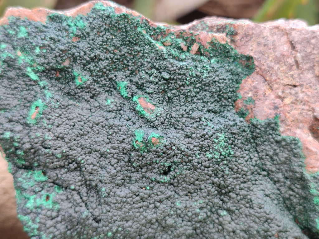 Natural Botryoidal Malachite Specimens x 2 From Tenke Fungurume, Congo - Toprock Gemstones and Minerals 