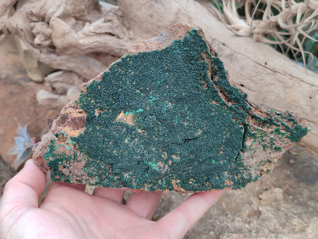 Natural Botryoidal Malachite Specimens x 2 From Tenke Fungurume, Congo - Toprock Gemstones and Minerals 