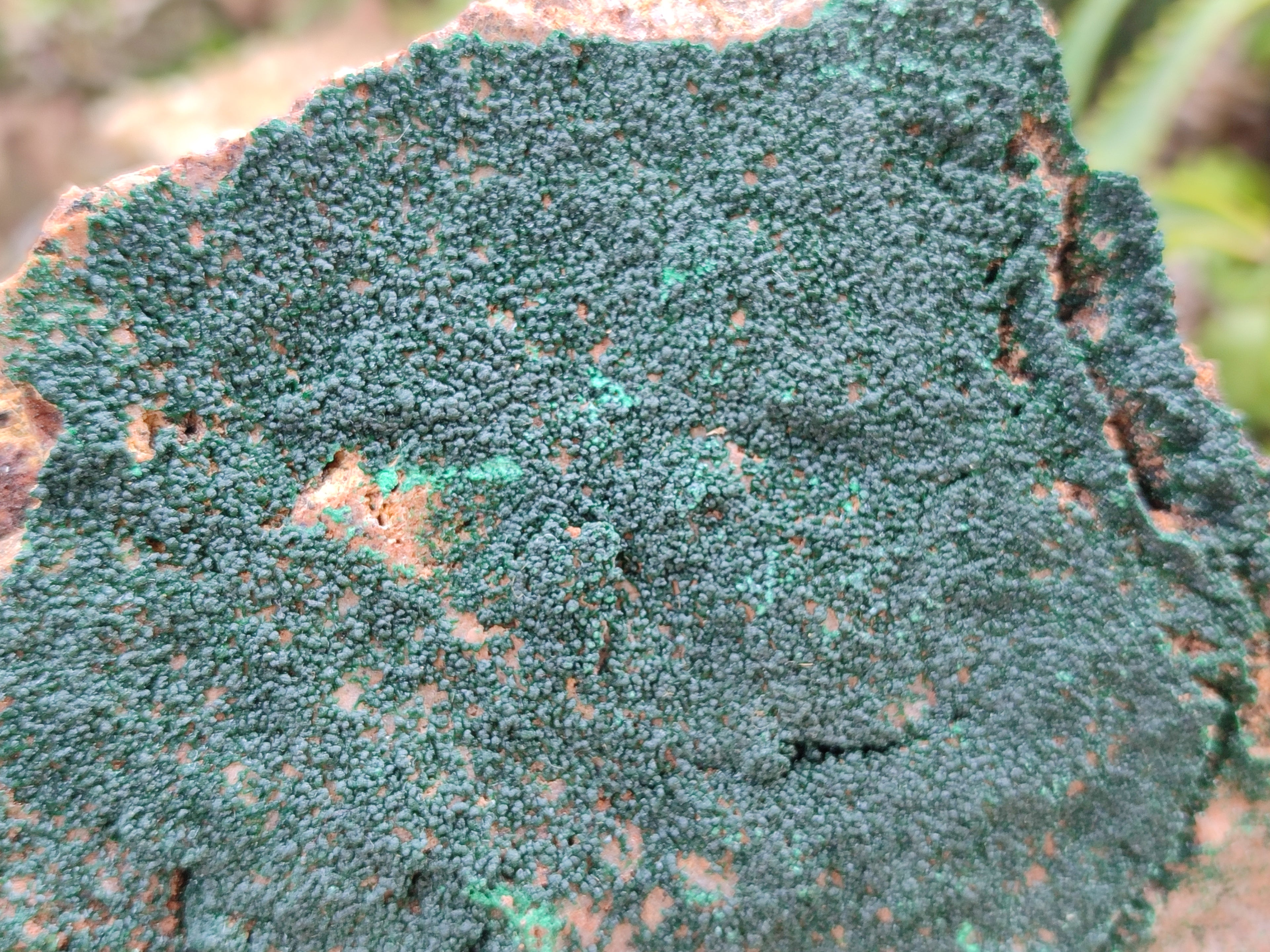 Natural Botryoidal Malachite Specimens x 2 From Tenke Fungurume, Congo - Toprock Gemstones and Minerals 