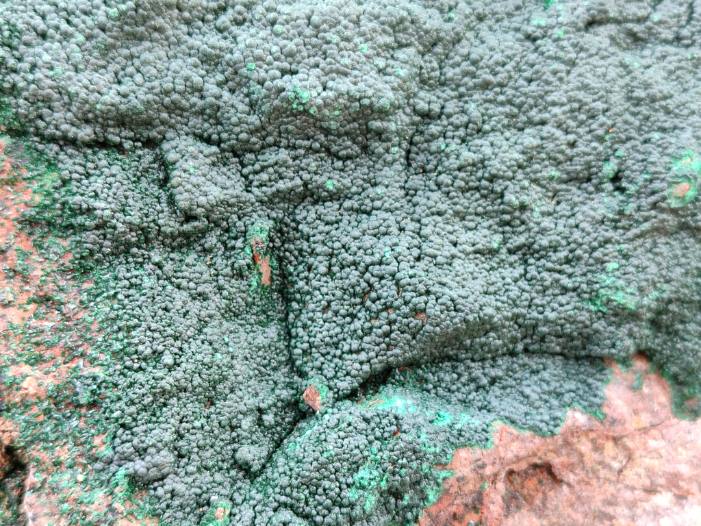 Natural Botryoidal Malachite Specimens x 2 From Tenke Fungurume, Congo - Toprock Gemstones and Minerals 