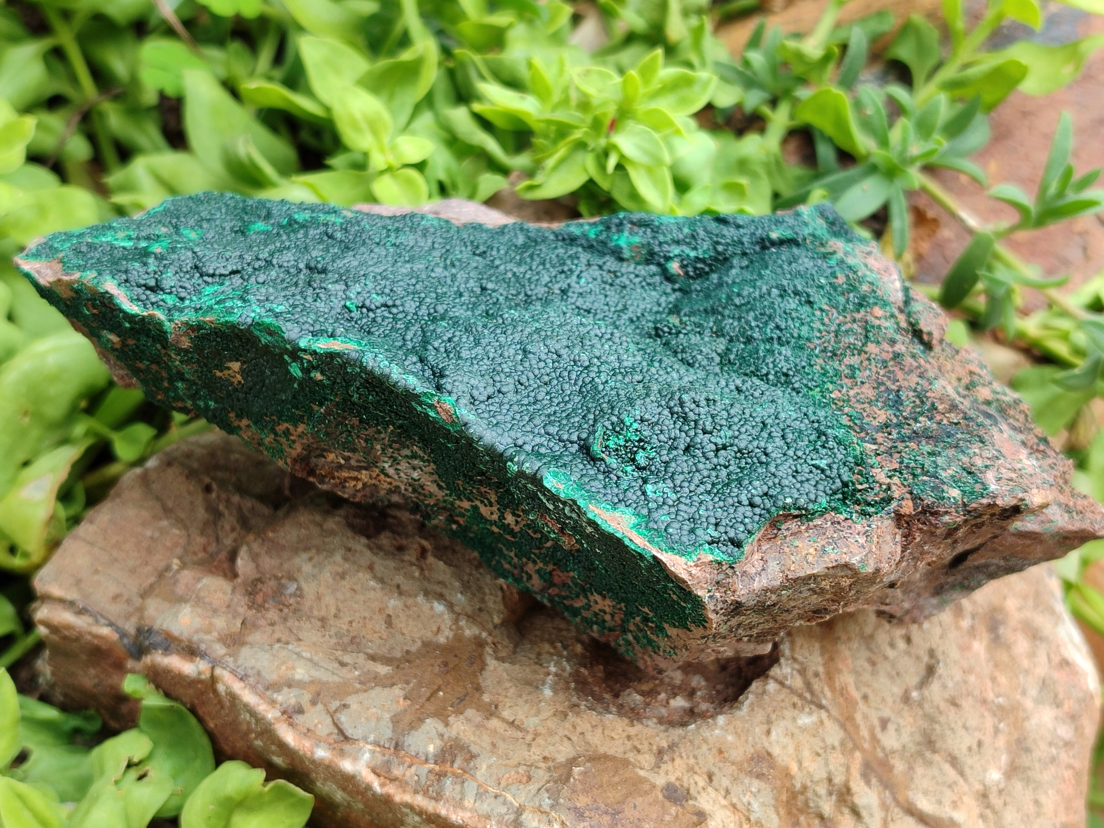 Natural Botryoidal Malachite Specimens x 2 From Tenke Fungurume, Congo - Toprock Gemstones and Minerals 