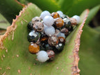 Hand Made Mixed Stone Bead Necklaces x 6 From China - Toprock Gemstones and Minerals 