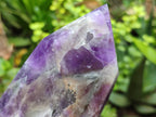 Polished Chevron Amethyst Points x 2 From Zambia - Toprock Gemstones and Minerals 