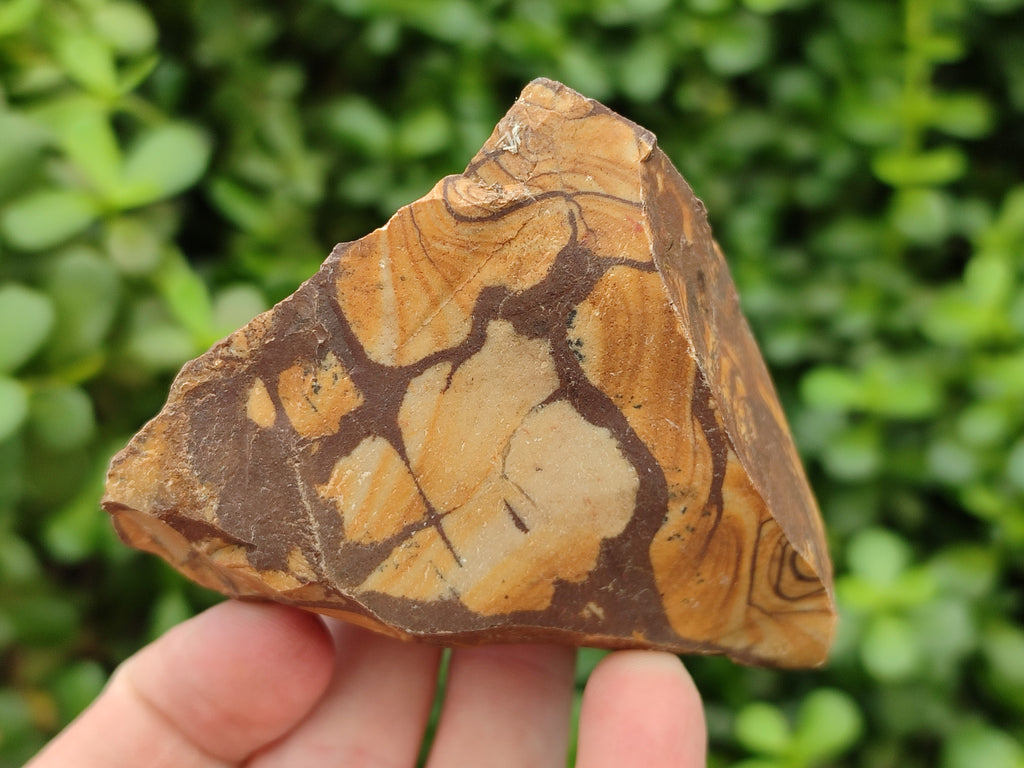 Natural Nguni Jasper Cobbed Specimens x 12 From Prieska, South Africa - Toprock Gemstones and Minerals 