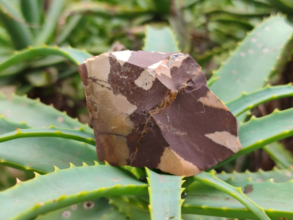 Natural Nguni Jasper Cobbed Specimens x 12 From Prieska, South Africa - Toprock Gemstones and Minerals 