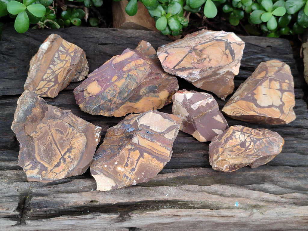 Natural Nguni Jasper Cobbed Specimens x 12 From Prieska, South Africa - Toprock Gemstones and Minerals 