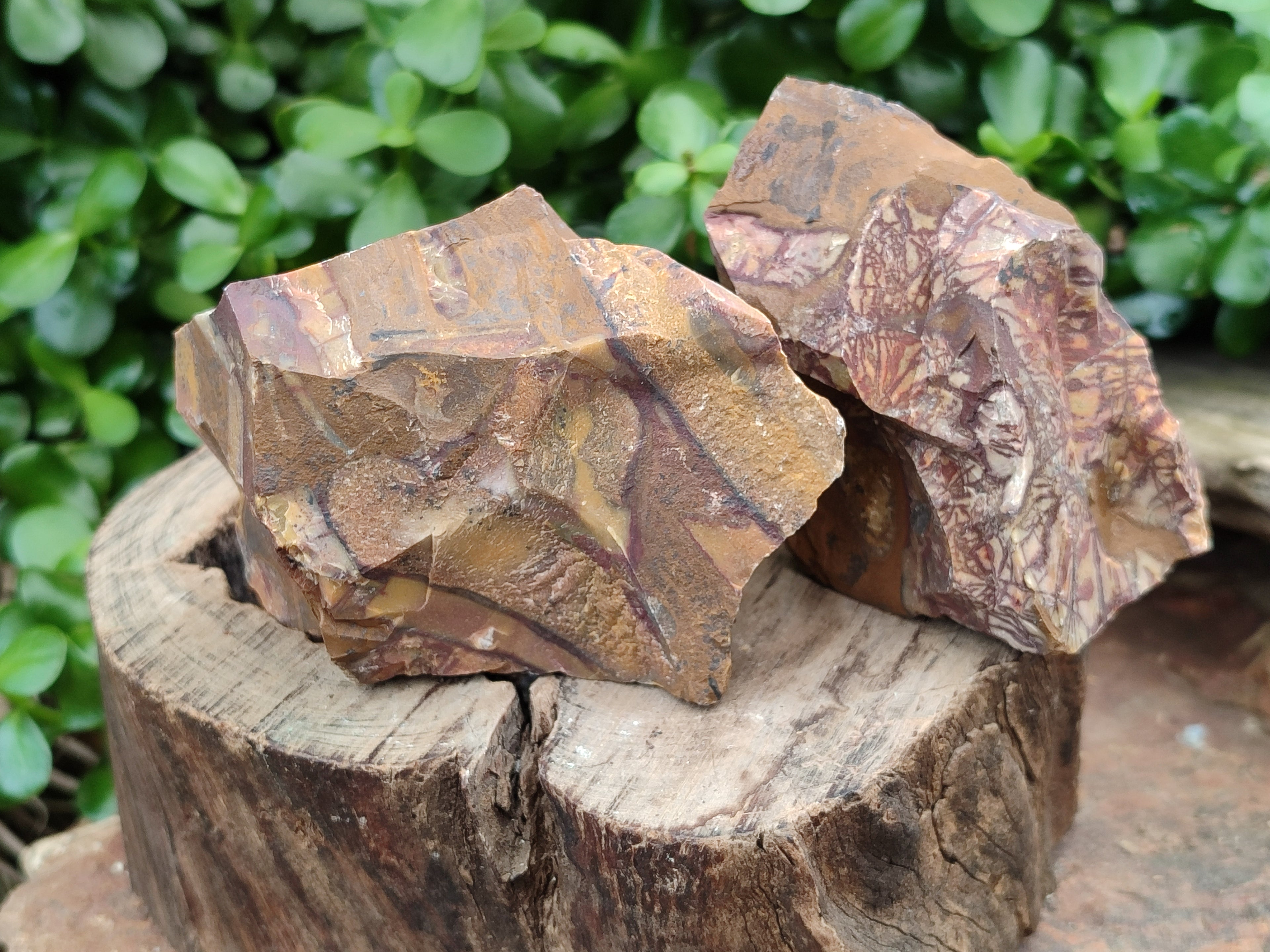 Natural Nguni Jasper Cobbed Specimens x 12 From Prieska, South Africa - Toprock Gemstones and Minerals 