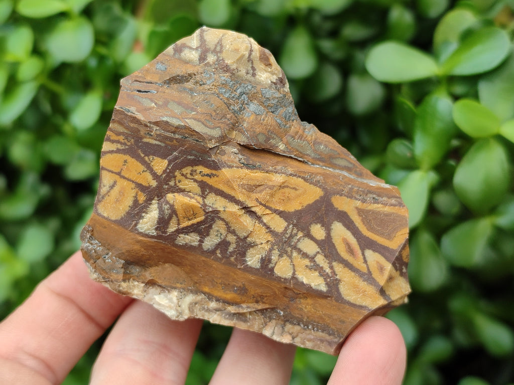 Natural Nguni Jasper Cobbed Specimens x 12 From Prieska, South Africa - Toprock Gemstones and Minerals 