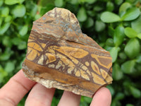 Natural Nguni Jasper Cobbed Specimens x 12 From Prieska, South Africa - Toprock Gemstones and Minerals 