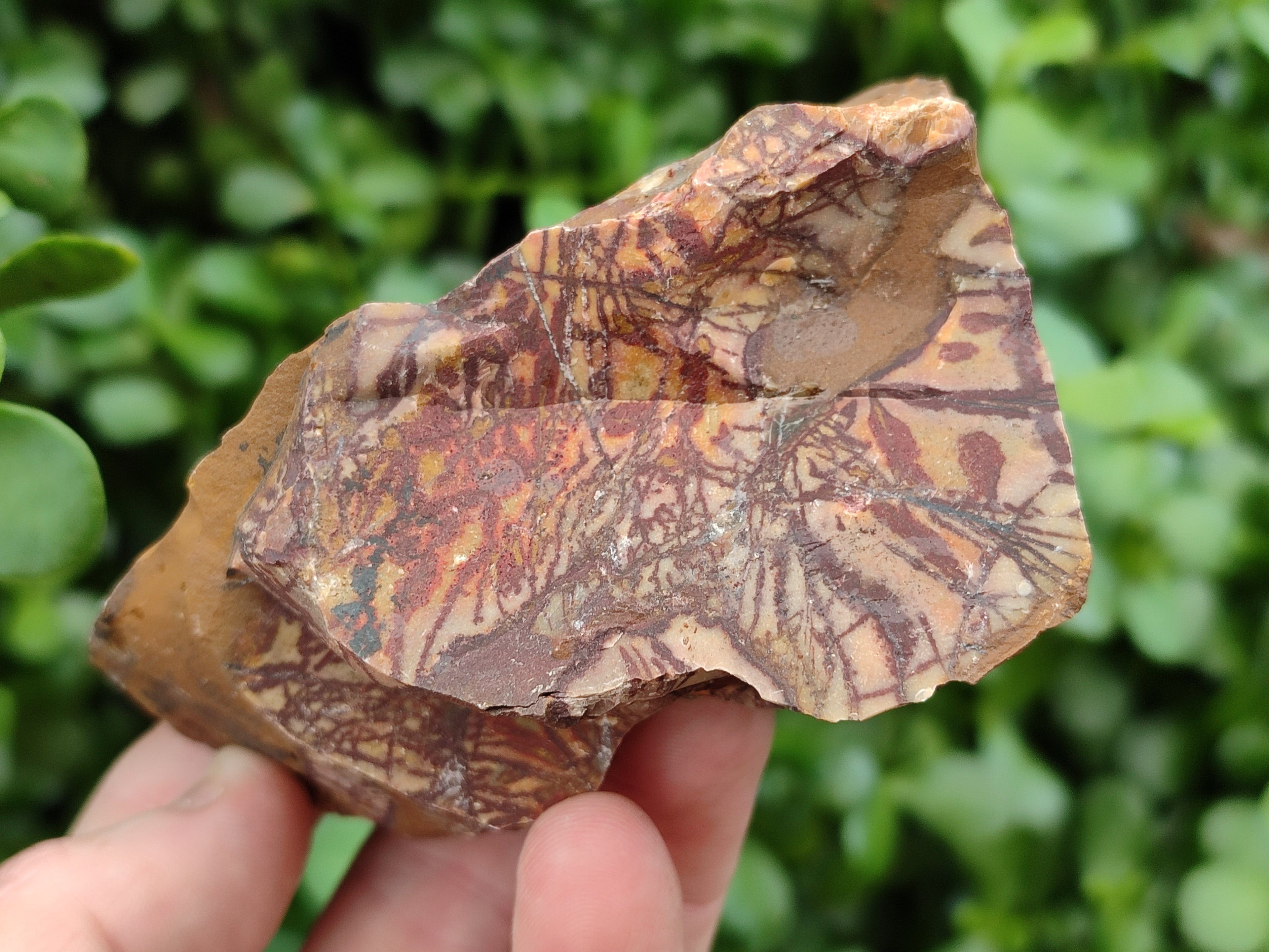 Natural Nguni Jasper Cobbed Specimens x 12 From Prieska, South Africa - Toprock Gemstones and Minerals 