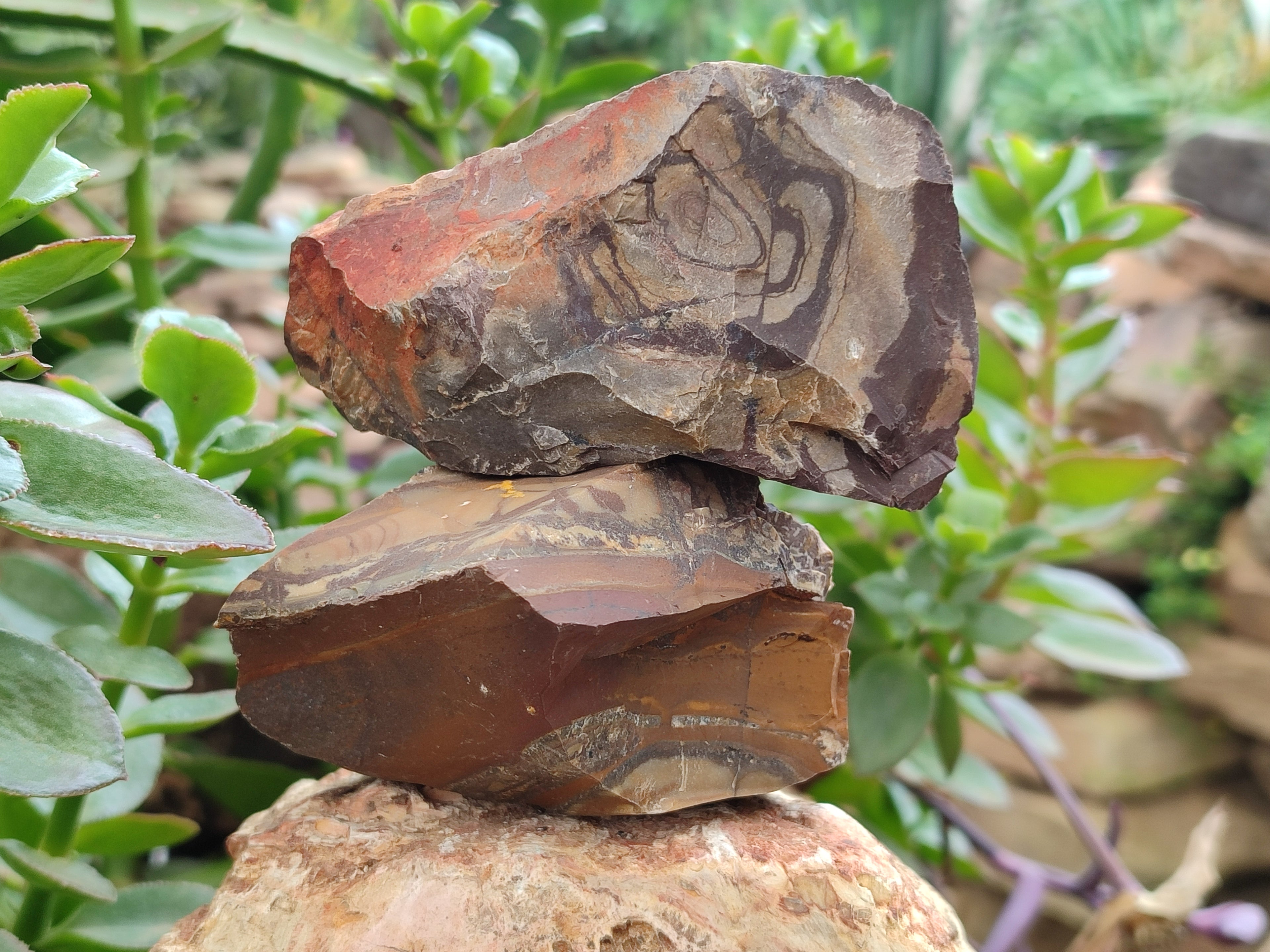 Natural Nguni Jasper Cobbed Specimens x 12 From Prieska, South Africa - Toprock Gemstones and Minerals 