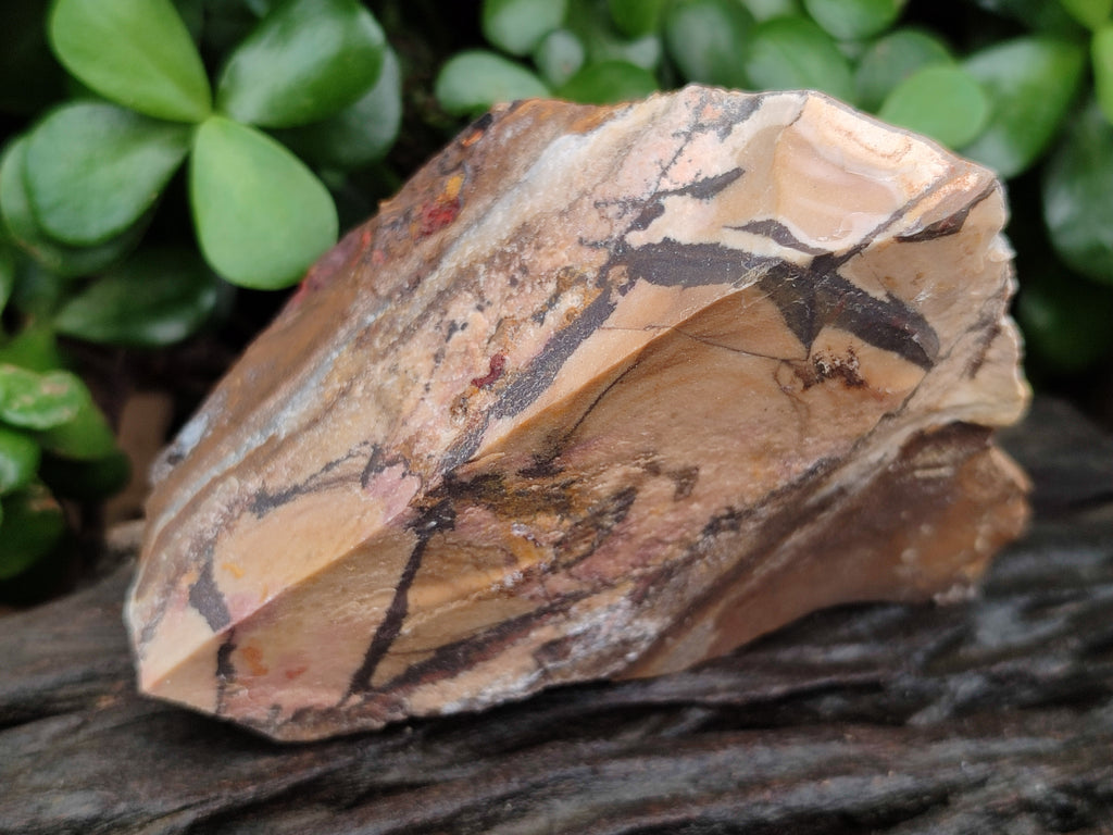 Natural Nguni Jasper Cobbed Specimens x 12 From Prieska, South Africa - Toprock Gemstones and Minerals 