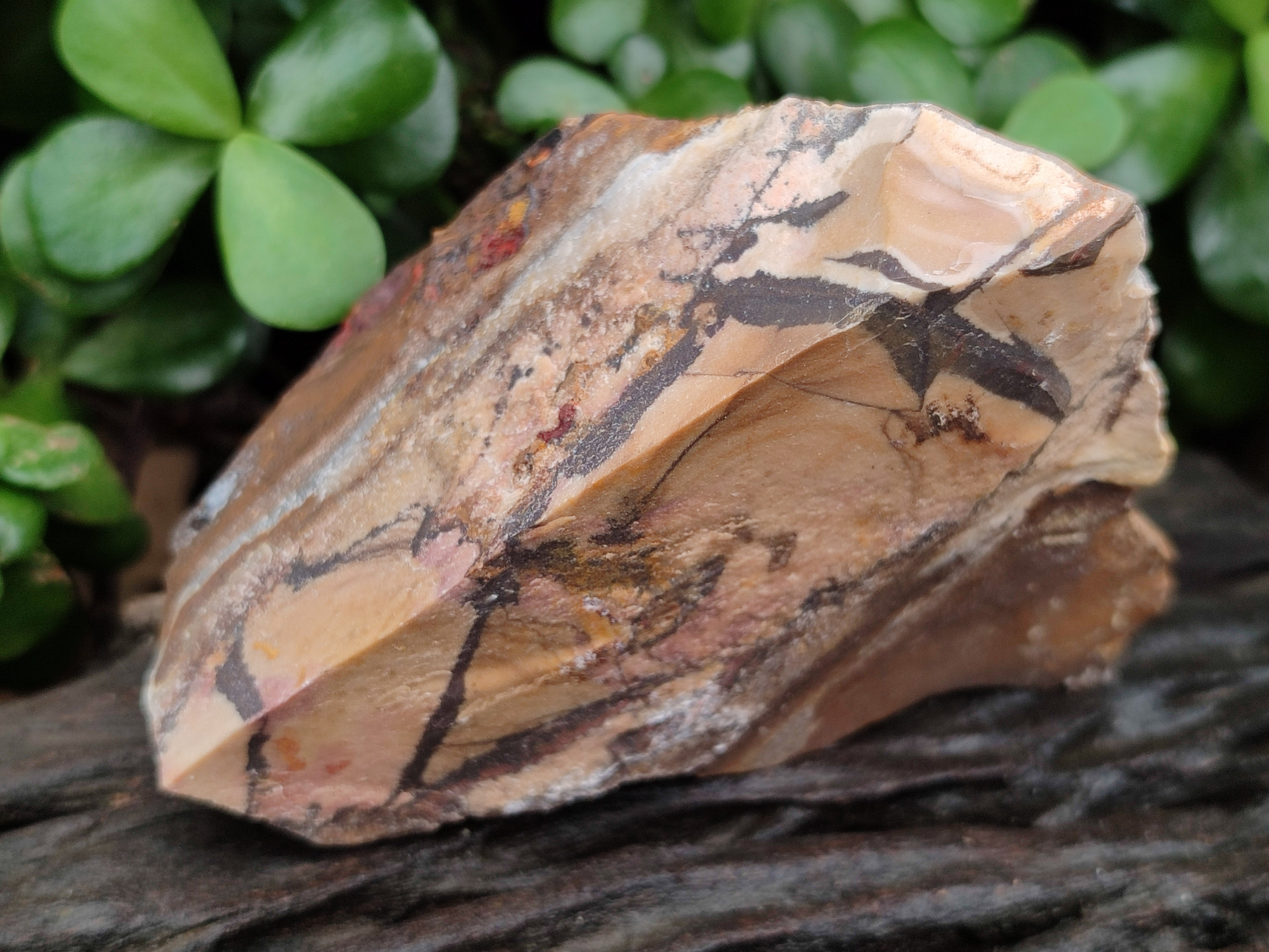 Natural Nguni Jasper Cobbed Specimens x 12 From Prieska, South Africa - Toprock Gemstones and Minerals 