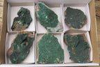 Natural Botryoidal Malachite Specimens x 6 From Tenke Fungurume, Congo - Toprock Gemstones and Minerals 