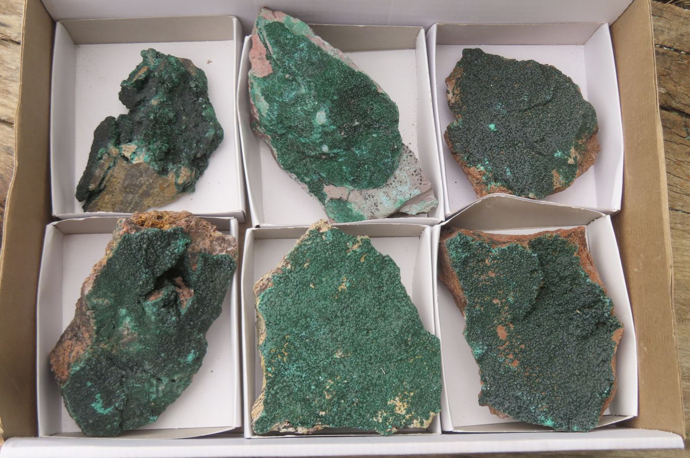 Natural Botryoidal Malachite Specimens x 6 From Tenke Fungurume, Congo - Toprock Gemstones and Minerals 