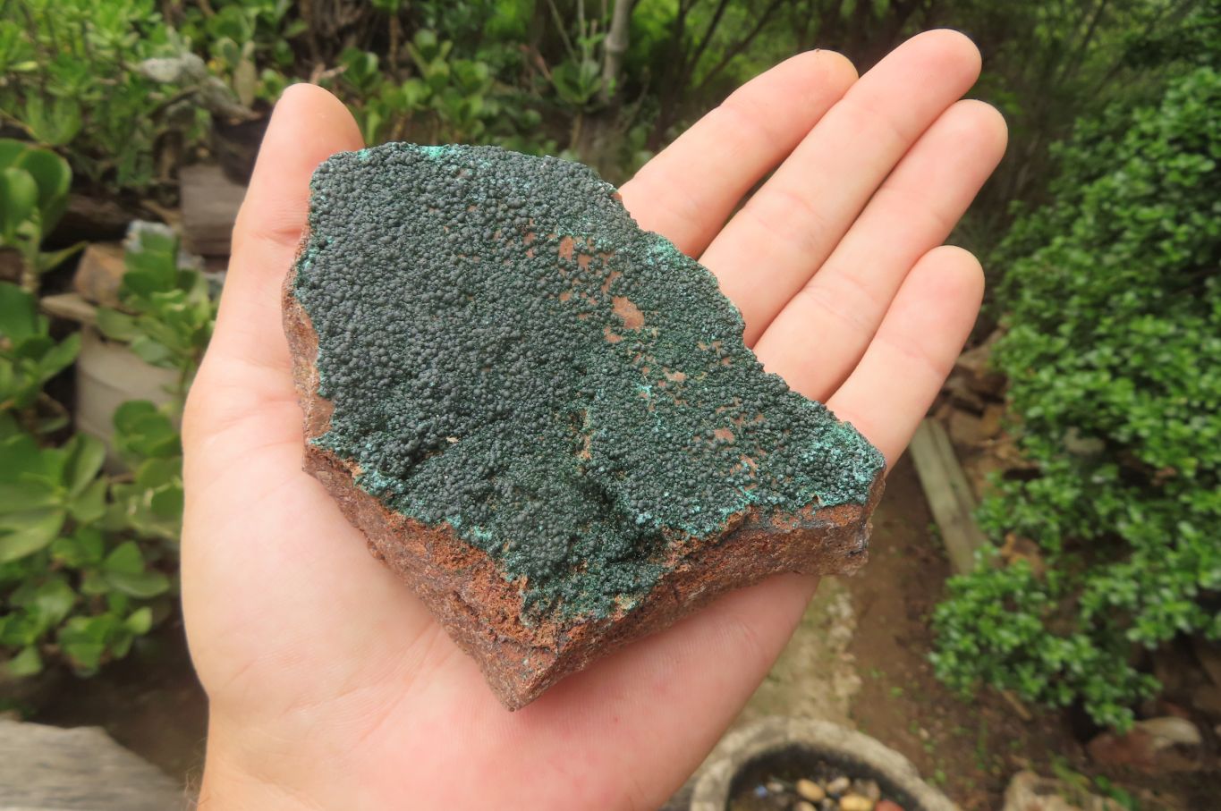 Natural Botryoidal Malachite Specimens x 6 From Tenke Fungurume, Congo - Toprock Gemstones and Minerals 