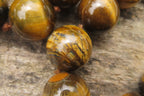 Polished Golden Tigers Eye Bead Necklaces - Sold Per Item - From South Africa - Toprock Gemstones and Minerals 