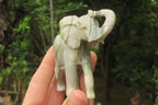 Polished Butter Jade African Elephant Carving - sold per item - From South Africa - Toprock Gemstones and Minerals 