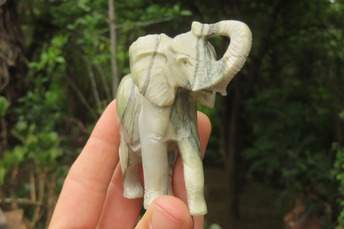 Polished Butter Jade African Elephant Carving - sold per item - From South Africa - Toprock Gemstones and Minerals 