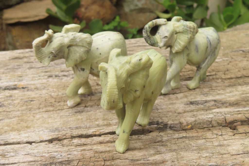 Polished Butter Jade African Elephant Carving - sold per item - From South Africa - Toprock Gemstones and Minerals 