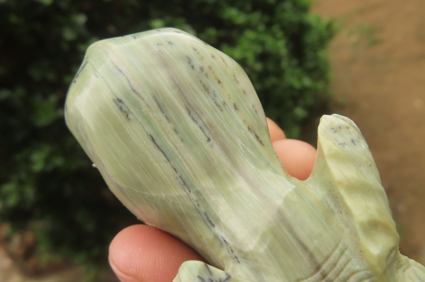 Polished Butter Jade African Elephant Carving - sold per item - From South Africa - Toprock Gemstones and Minerals 