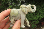 Polished Butter Jade African Elephant Carving - sold per item - From South Africa - Toprock Gemstones and Minerals 