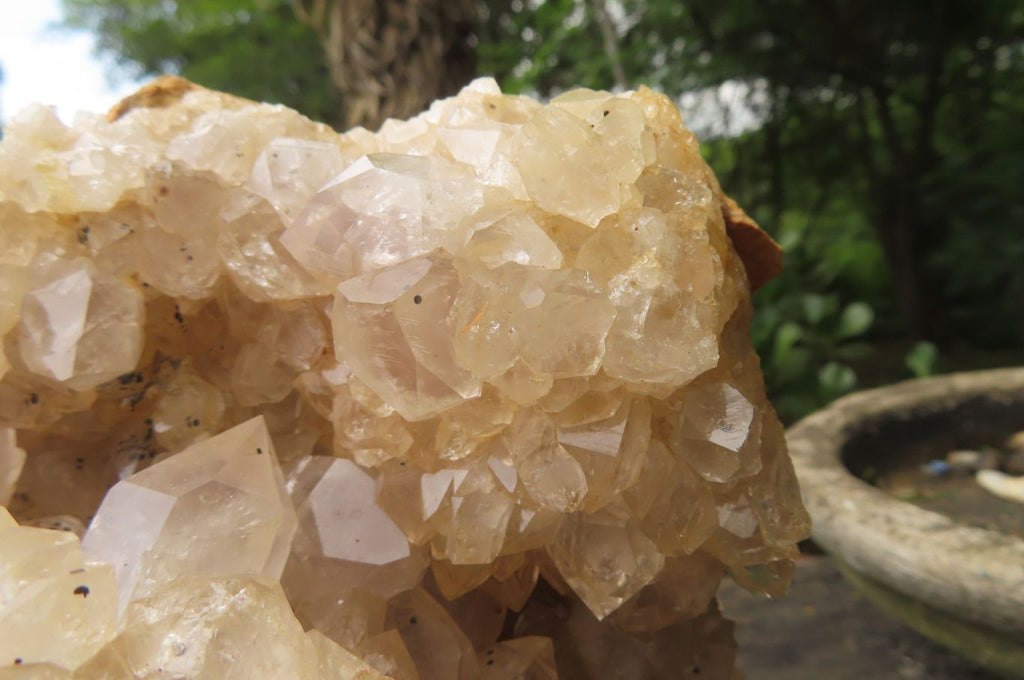 Natural Limonite Quartz Cluster x 1 From Solwezi, Zambia - Toprock Gemstones and Minerals 