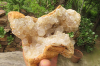 Natural Limonite Quartz Cluster x 1 From Solwezi, Zambia - Toprock Gemstones and Minerals 