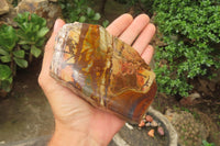 Polished On One Side Nguni Jasper x 3 From Prieska, South Africa - Toprock Gemstones and Minerals 