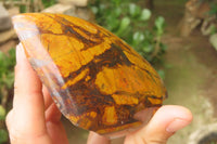 Polished On One Side Nguni Jasper x 3 From Prieska, South Africa - Toprock Gemstones and Minerals 