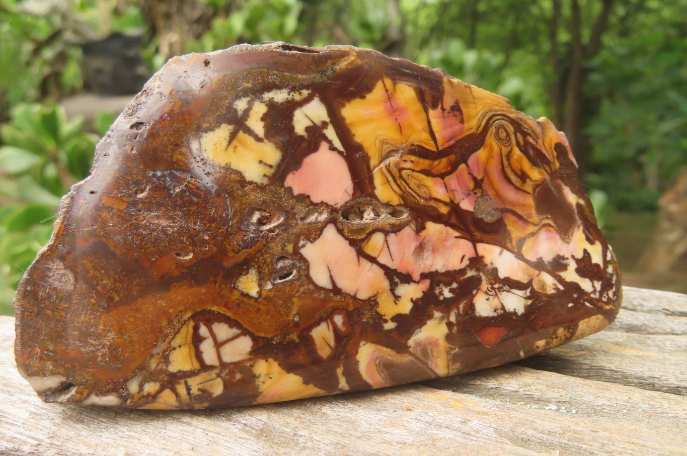 Polished On One Side Nguni Jasper x 3 From Prieska, South Africa - Toprock Gemstones and Minerals 