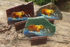 Hand Made Bear Decoupage Stone Slabs x 3 From Southern Africa - Toprock Gemstones and Minerals 