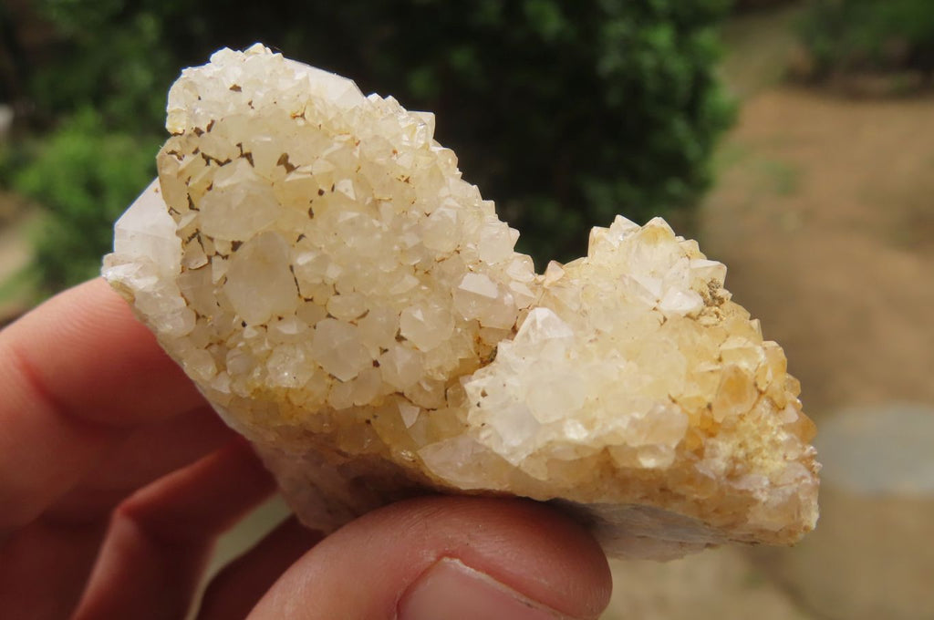 Natural Spirit Quartz Clusters x 12 From Boekenhouthoek, South Africa - Toprock Gemstones and Minerals 