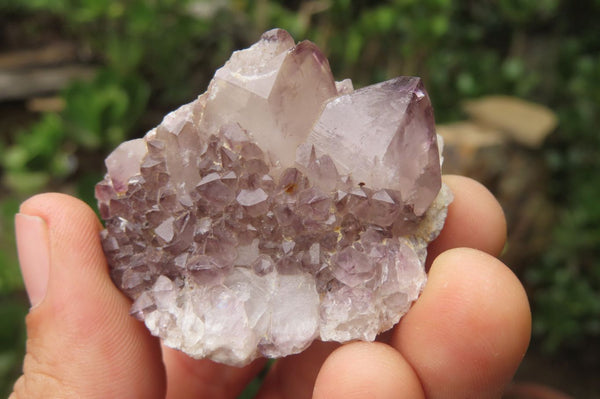 Natural Spirit Quartz Clusters x 12 From Boekenhouthoek, South Africa - Toprock Gemstones and Minerals 