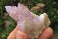 Natural Spirit Quartz Clusters x 12 From Boekenhouthoek, South Africa - Toprock Gemstones and Minerals 