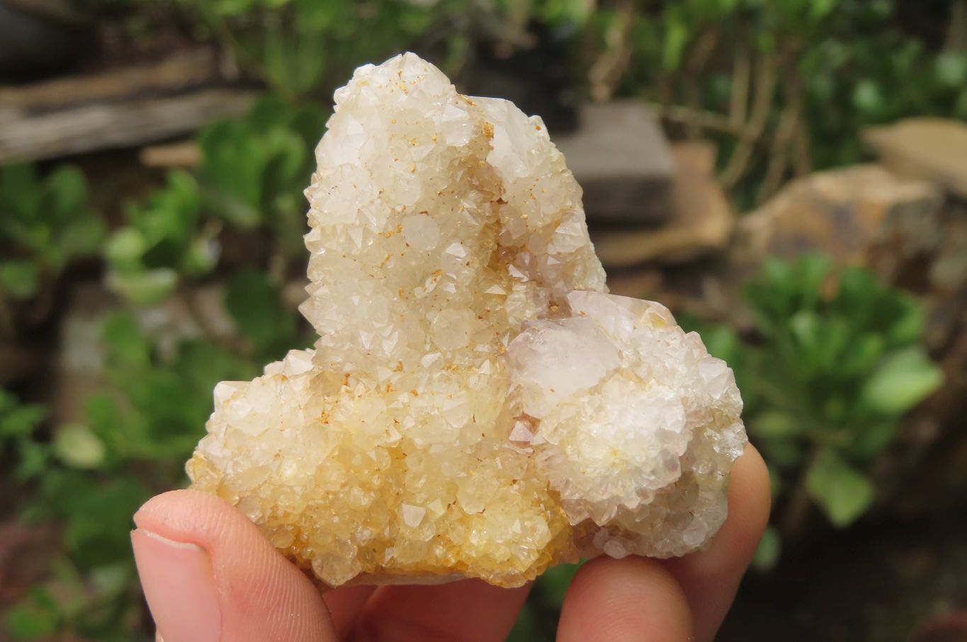 Natural Spirit Quartz Clusters x 12 From Boekenhouthoek, South Africa - Toprock Gemstones and Minerals 