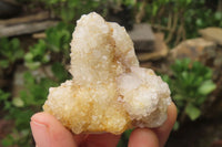 Natural Spirit Quartz Clusters x 12 From Boekenhouthoek, South Africa - Toprock Gemstones and Minerals 