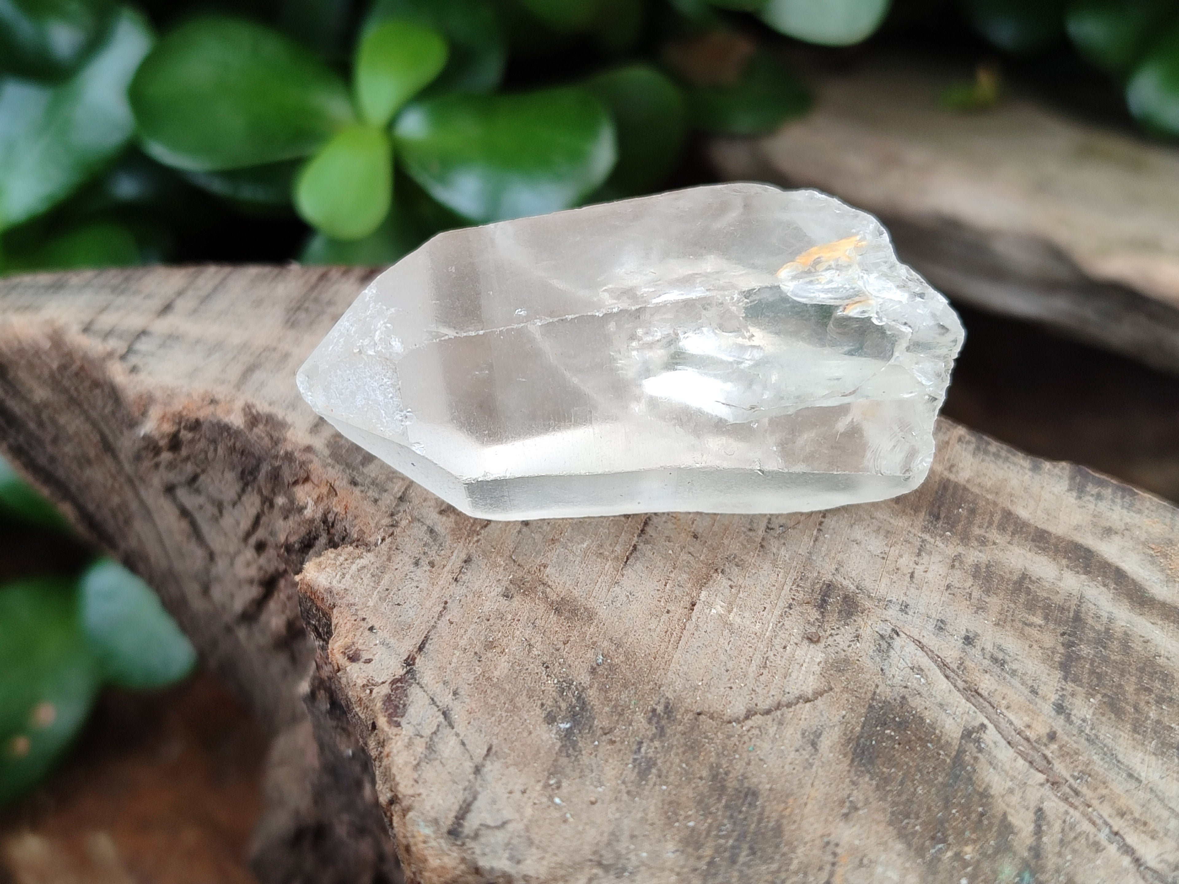 Natural Clear Quartz Crystals x 68 From Madagascar - Toprock Gemstones and Minerals 