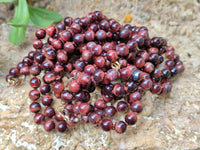 Polished Red Tigers Eye Bead Necklaces - Sold Per Item - From South Africa
