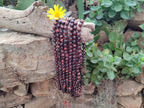 Polished Red Tigers Eye Bead Necklaces - Sold Per Item - From South Africa - Toprock Gemstones and Minerals 