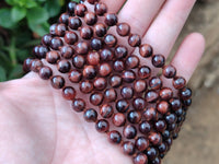 Polished Red Tigers Eye Bead Necklaces - Sold Per Item - From South Africa