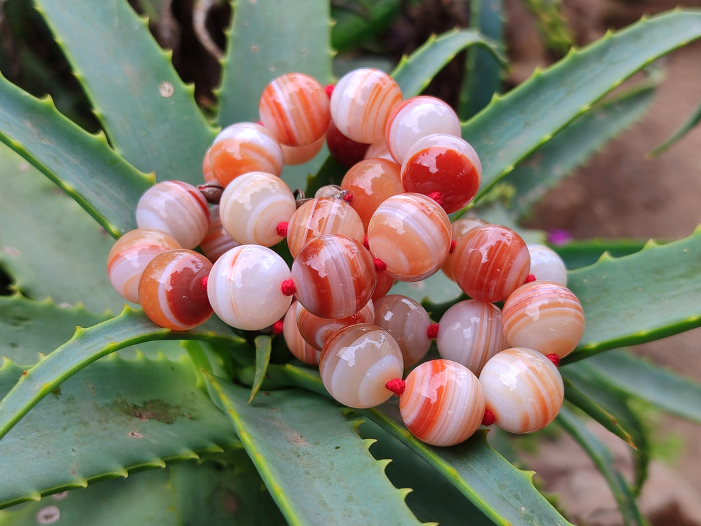 Polished Sardonyx Tibetan Agate Bead Necklace - Sold Per Item- From Tibet - Toprock Gemstones and Minerals 