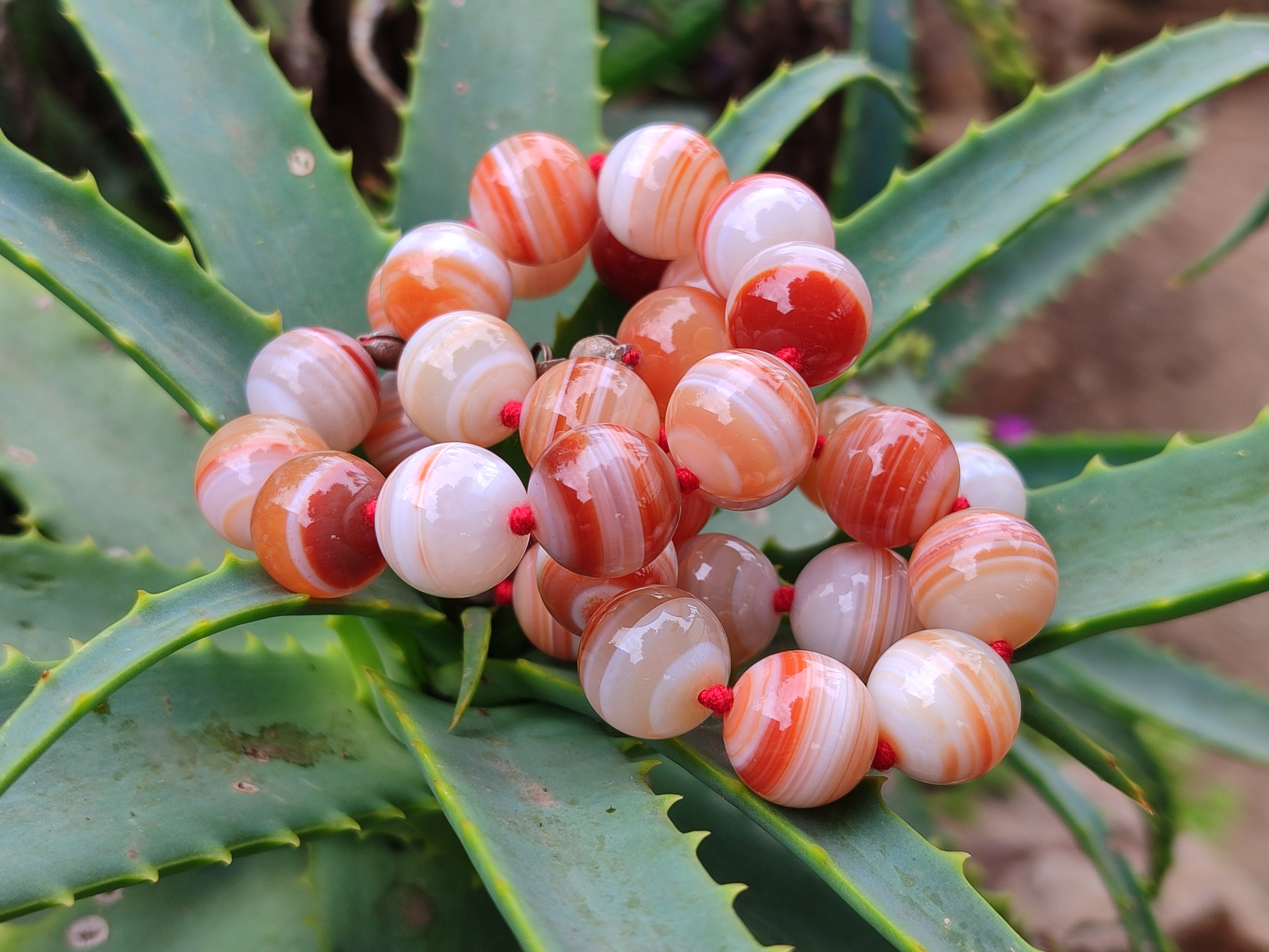 Polished Sardonyx Tibetan Agate Bead Necklace - Sold Per Item- From Tibet - Toprock Gemstones and Minerals 