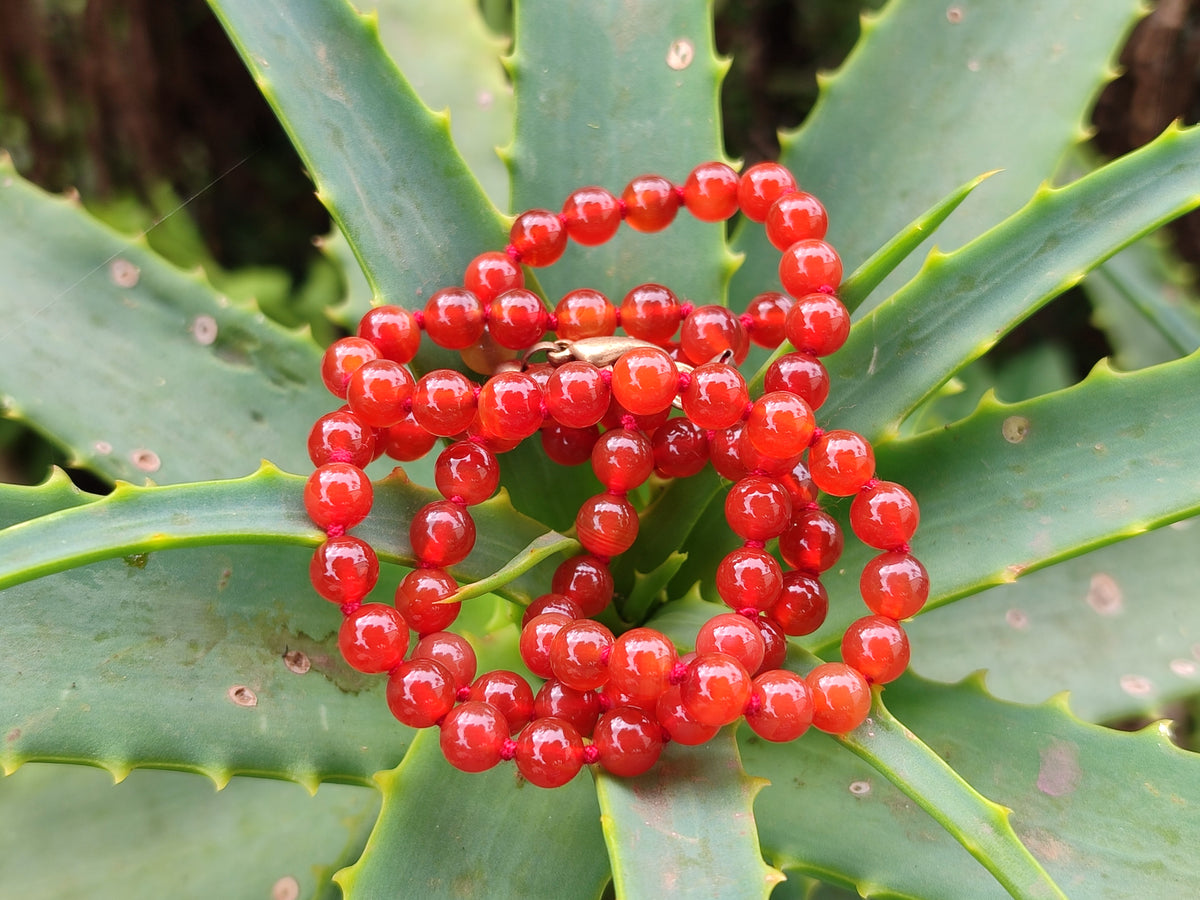 Polished Carnelian Agate Beaded Necklace - Sold per Item - From Brazil - Toprock Gemstones and Minerals 