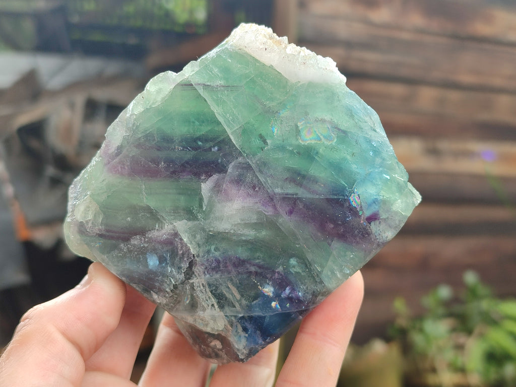 Polished On One Side Watermelon Fluorite x 4 From Uis, Namibia - Toprock Gemstones and Minerals 