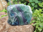 Polished On One Side Watermelon Fluorite x 4 From Uis, Namibia - Toprock Gemstones and Minerals 