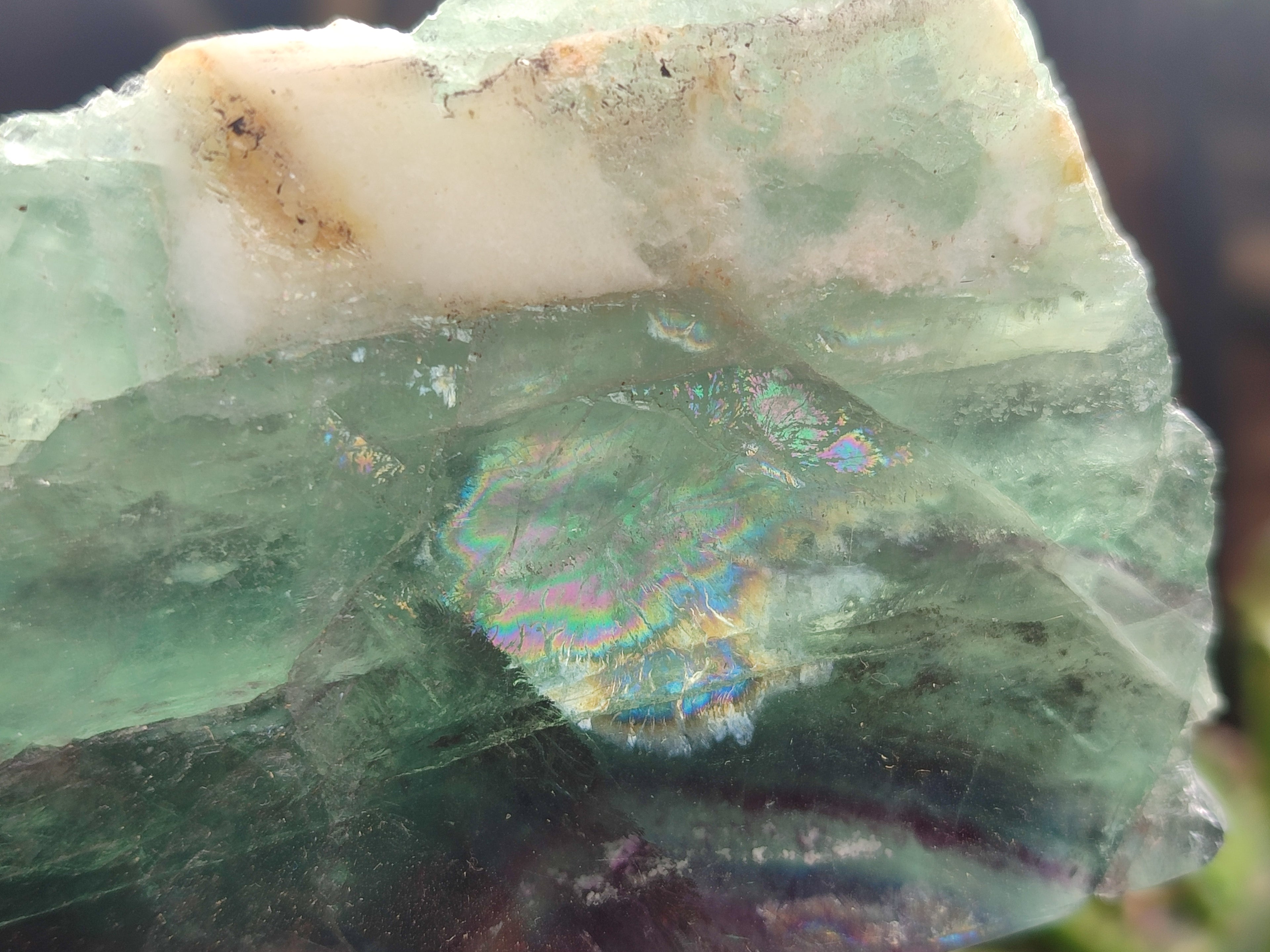 Polished On One Side Watermelon Fluorite x 4 From Uis, Namibia - Toprock Gemstones and Minerals 