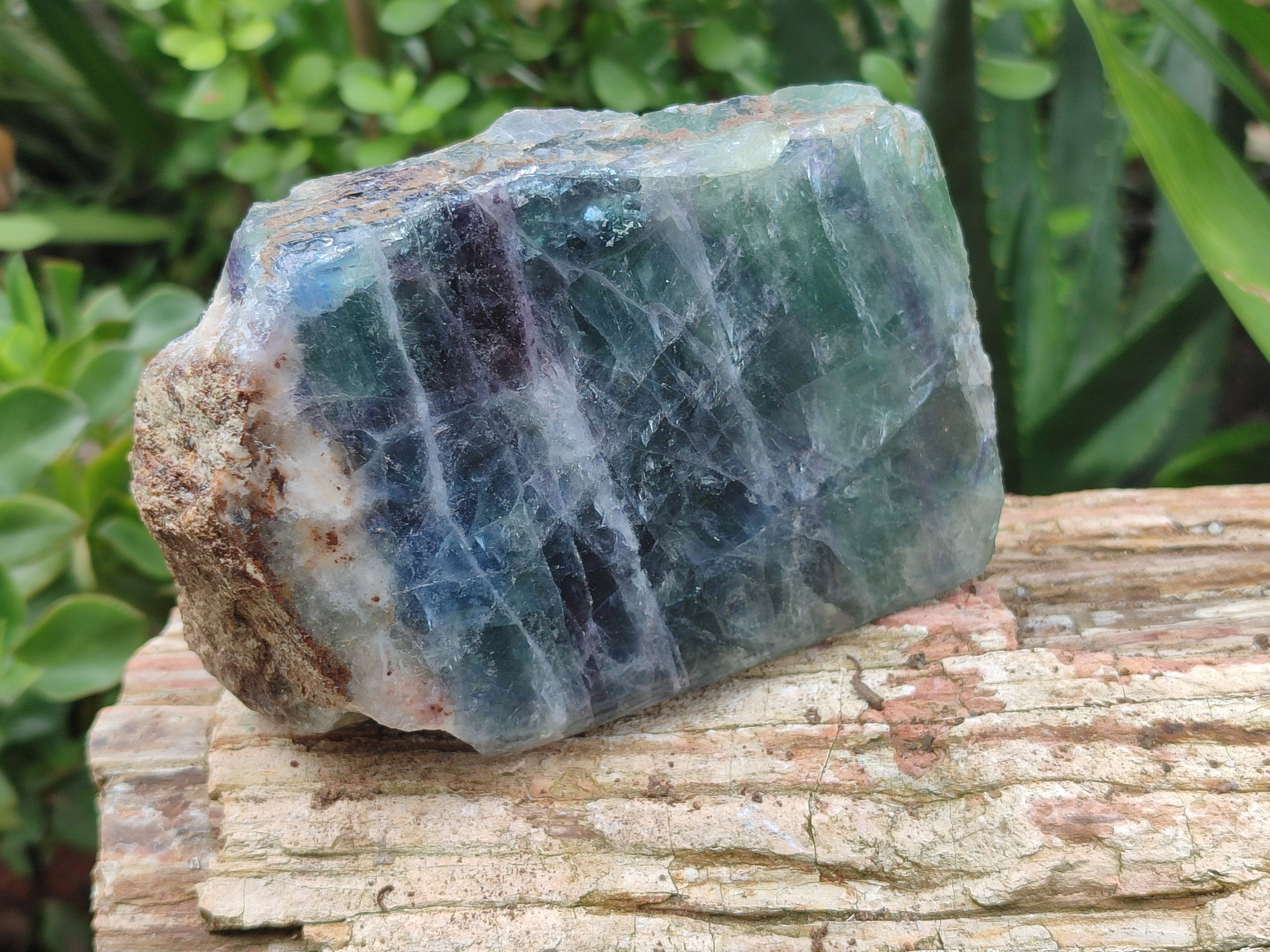 Polished On One Side Watermelon Fluorite x 4 From Uis, Namibia - Toprock Gemstones and Minerals 