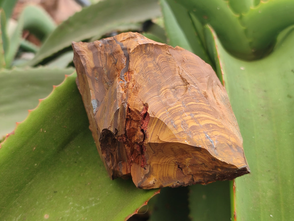 Natural Nguni Jasper Cobbed Specimens x 6 From Prieska, South Africa - Toprock Gemstones and Minerals 